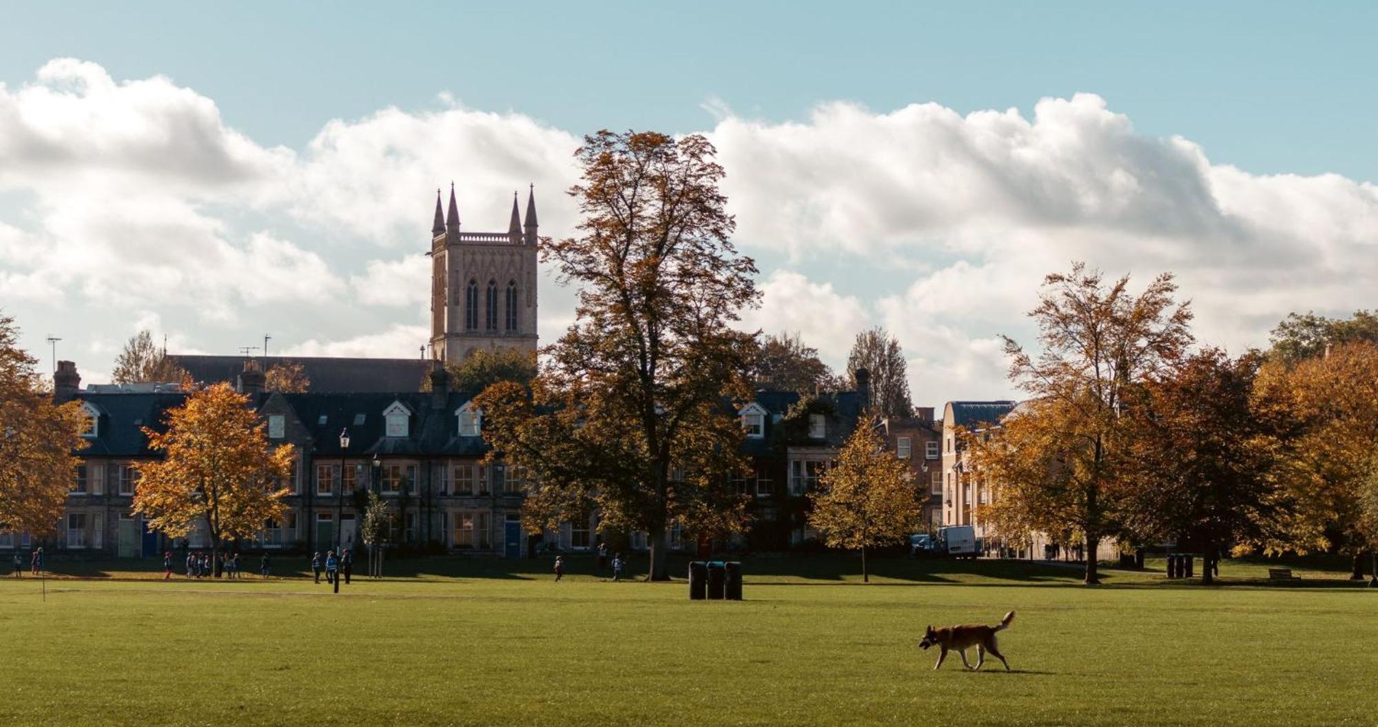 Cambridge Stays - Apartment At Addenbrooke Hospital And Bio Campus - Free Private Parking Exteriér fotografie